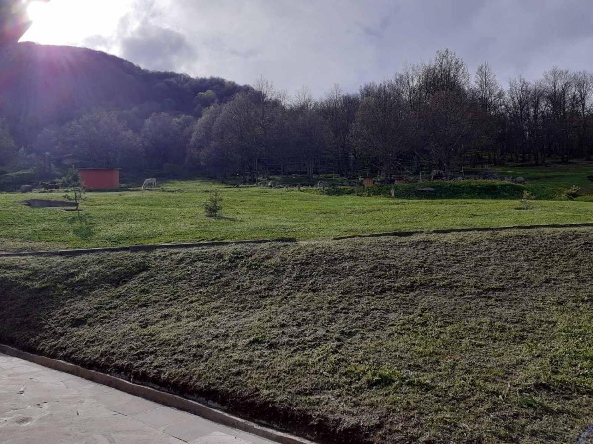 Ani Resort Artavaz Exteriör bild