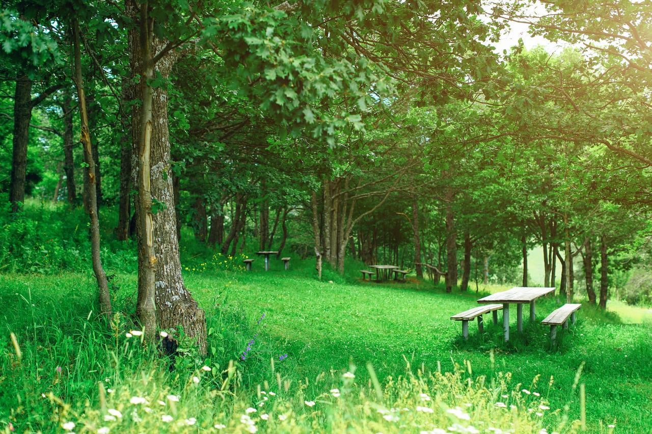 Ani Resort Artavaz Exteriör bild